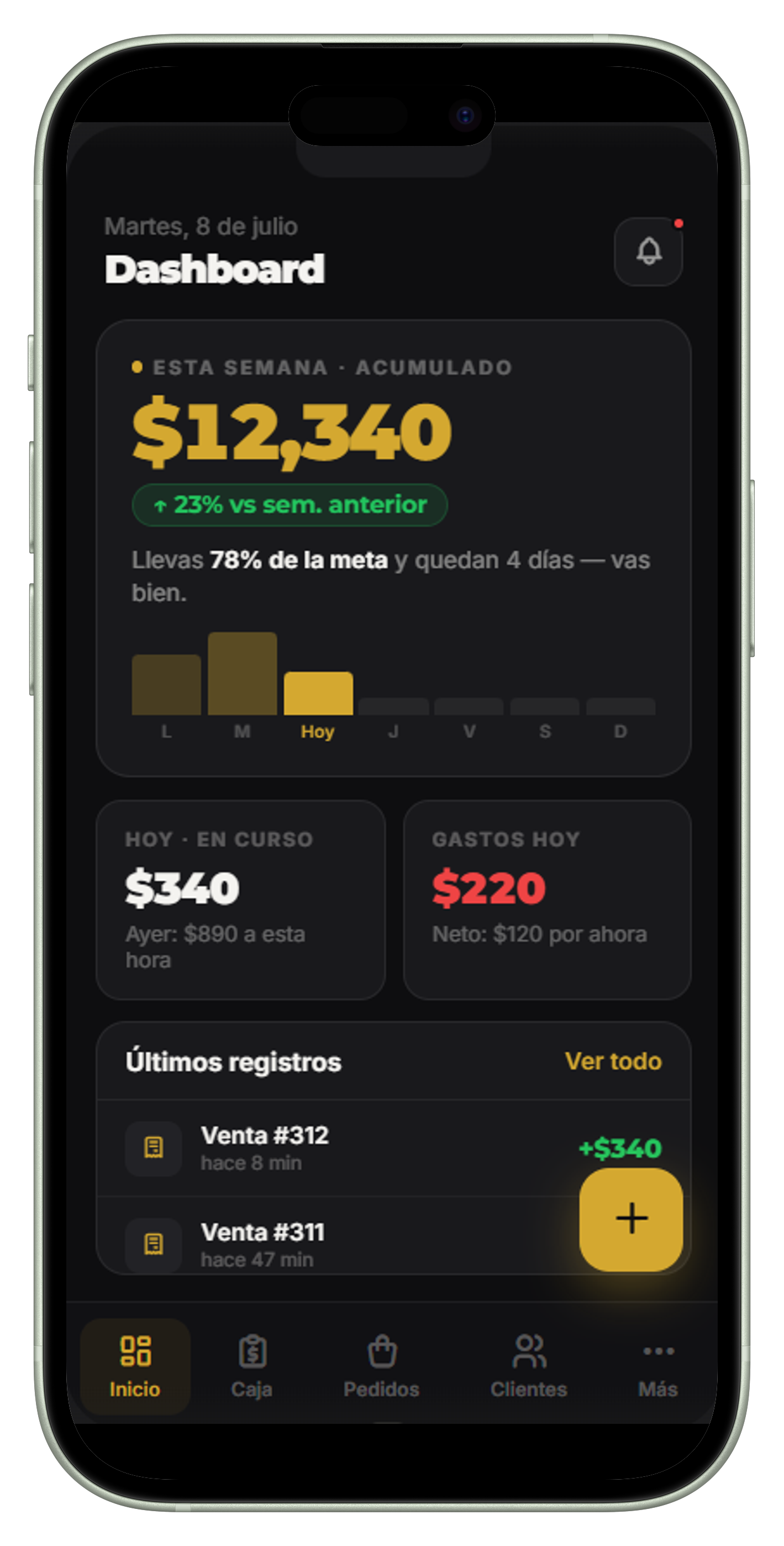 FLETZO Control en iPhone